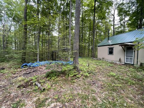 tbd N Watkins Drive 1008acres Frederic Mi 49733 Dr #10.08ACRES, Frederic, MI 49733 photo 10