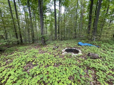 tbd N Watkins Drive 1008acres Frederic Mi 49733 Dr #10.08ACRES, Frederic, MI 49733 photo 13