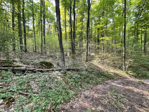 tbd N Watkins Drive 1008acres Frederic Mi 49733 Dr #10.08ACRES, Frederic, MI 49733 photo 24