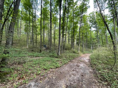 tbd N Watkins Drive 1008acres Frederic Mi 49733 Dr #10.08ACRES, Frederic, MI 49733 photo 30