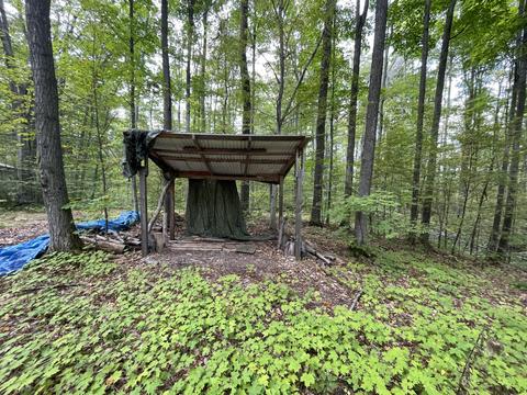tbd N Watkins Drive 1008acres Frederic Mi 49733 Dr #10.08ACRES, Frederic, MI 49733 photo 15