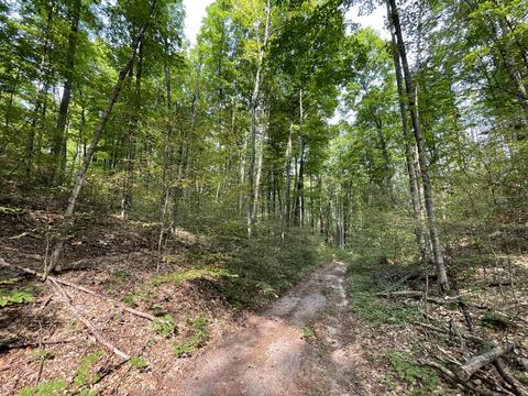 tbd N Watkins Drive 1008acres Frederic Mi 49733 Dr #10.08ACRES, Frederic, MI 49733 photo 28