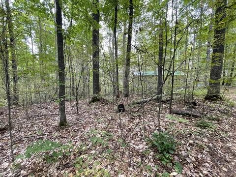 tbd N Watkins Drive 1008acres Frederic Mi 49733 Dr #10.08ACRES, Frederic, MI 49733 photo 22