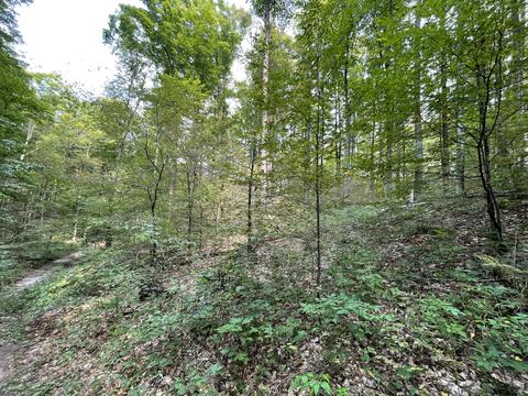 tbd N Watkins Drive 1008acres Frederic Mi 49733 Dr #10.08ACRES, Frederic, MI 49733 photo 26