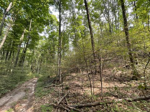 tbd N Watkins Drive 1008acres Frederic Mi 49733 Dr #10.08ACRES, Frederic, MI 49733 photo 29