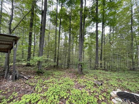 tbd N Watkins Drive 1008acres Frederic Mi 49733 Dr #10.08ACRES, Frederic, MI 49733 photo 14