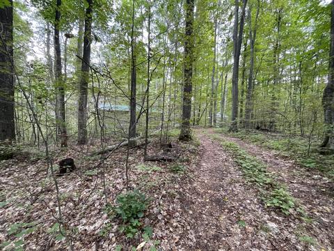 tbd N Watkins Drive 1008acres Frederic Mi 49733 Dr #10.08ACRES, Frederic, MI 49733 photo 23