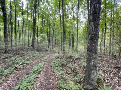 tbd N Watkins Drive 1008acres Frederic Mi 49733 Dr #10.08ACRES, Frederic, MI 49733 photo 20