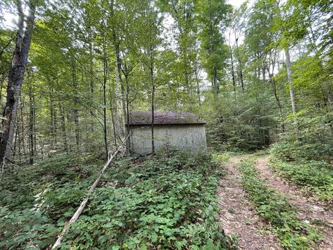 tbd N Watkins Drive 1008acres Frederic Mi 49733 Dr #10.08ACRES, Frederic, MI 49733 photo 6