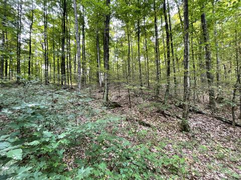 tbd N Watkins Drive 1008acres Frederic Mi 49733 Dr #10.08ACRES, Frederic, MI 49733 photo 27