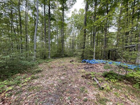 tbd N Watkins Drive 1008acres Frederic Mi 49733 Dr #10.08ACRES, Frederic, MI 49733 photo 9