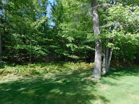 Unit #29 V/l Birdie Circle, Grayling, MI 49738