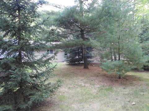 303 Cardinal Ave, Roscommon, MI 48653 photo 32