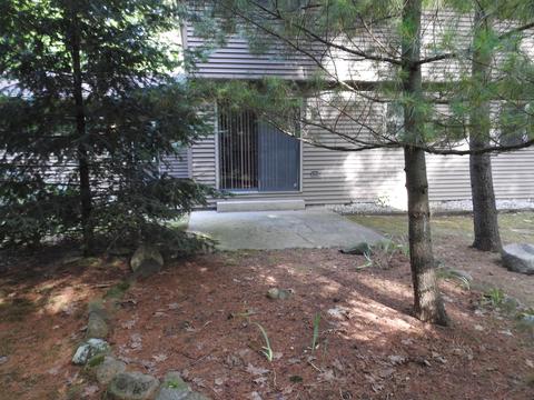 303 Cardinal Ave, Roscommon, MI 48653 photo 29