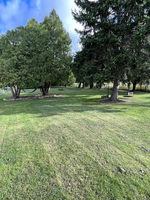789 E Harrison Rd, Alma, MI 48801 photo 29