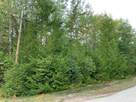 lot125 Sunaqua Drive Presque Isle Mi 49777 Dr, Presque Isle, MI 49777