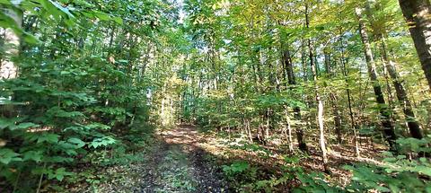 16284 Cricket Trl, Wolverine, MI 49799 photo 6