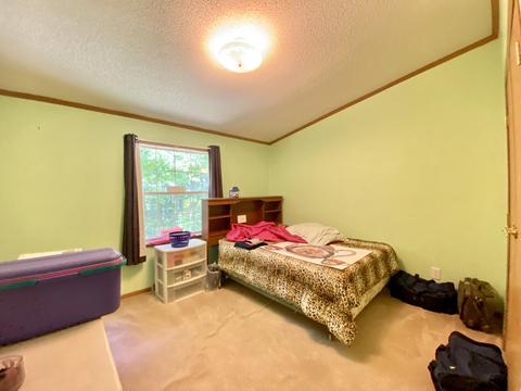 11628 White Ash Trail Vanderbilt Mi 49795 Trl, Vanderbilt, MI 49795 photo 19