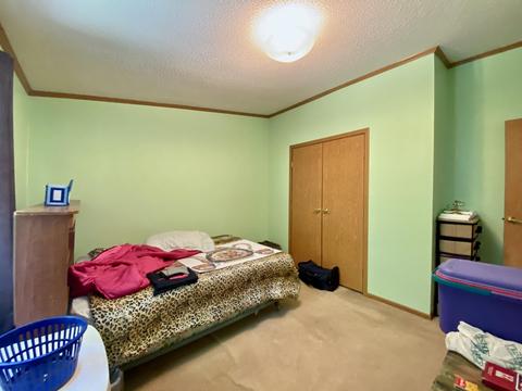11628 White Ash Trail Vanderbilt Mi 49795 Trl, Vanderbilt, MI 49795 photo 20