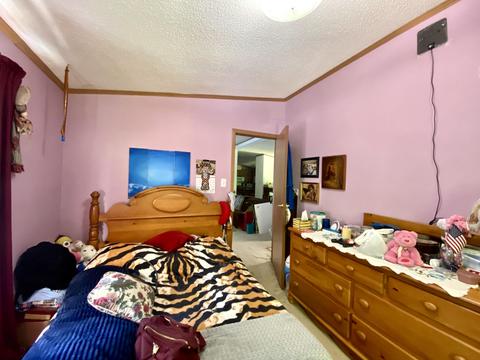 11628 White Ash Trail Vanderbilt Mi 49795 Trl, Vanderbilt, MI 49795 photo 17
