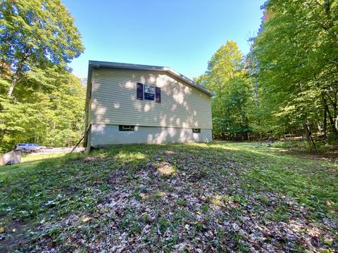 11628 White Ash Trail Vanderbilt Mi 49795 Trl, Vanderbilt, MI 49795 photo 3