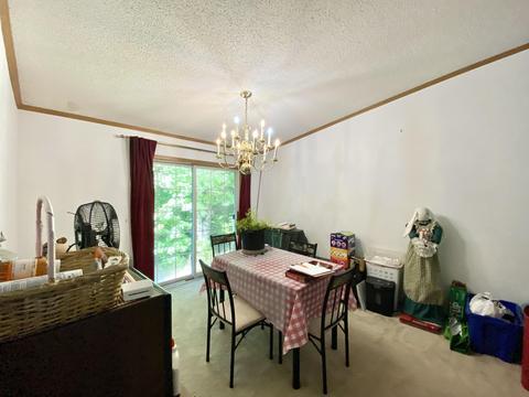 11628 White Ash Trail Vanderbilt Mi 49795 Trl, Vanderbilt, MI 49795 photo 9