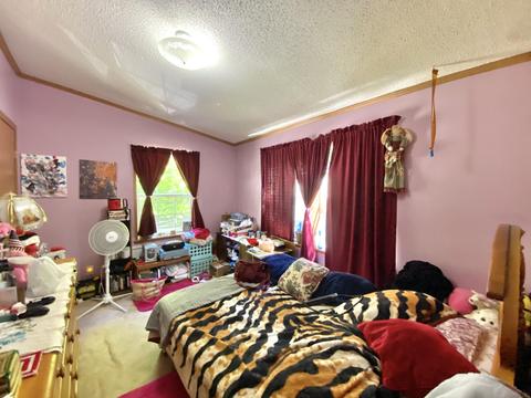 11628 White Ash Trail Vanderbilt Mi 49795 Trl, Vanderbilt, MI 49795 photo 16