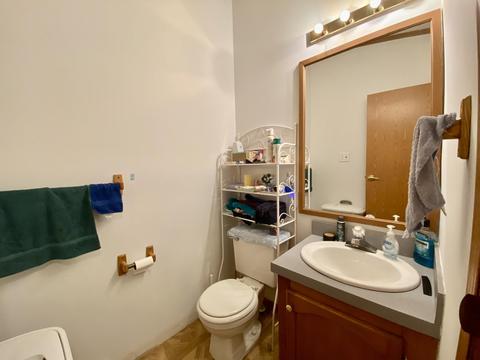 11628 White Ash Trail Vanderbilt Mi 49795 Trl, Vanderbilt, MI 49795 photo 22