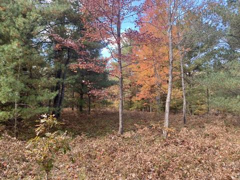 1236 Deeter Rd, Luzerne, MI 48636 photo 38