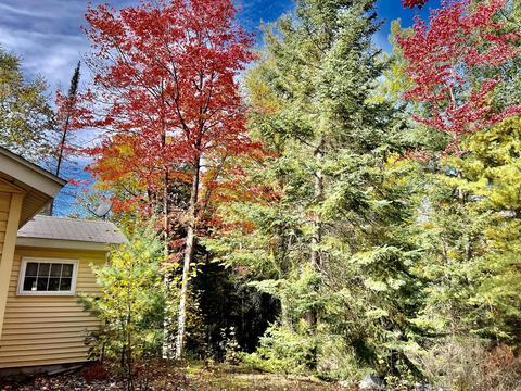 3672 Lance Lake Road Wolverine Mi 49799 Rd, Wolverine, MI 49799 photo 22
