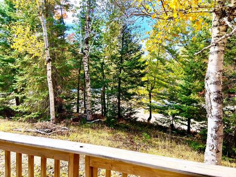 3672 Lance Lake Road Wolverine Mi 49799 Rd, Wolverine, MI 49799 photo 21