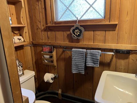 3672 Lance Lake Road Wolverine Mi 49799 Rd, Wolverine, MI 49799 photo 18