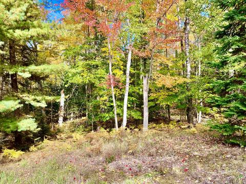 3672 Lance Lake Road Wolverine Mi 49799 Rd, Wolverine, MI 49799 photo 23