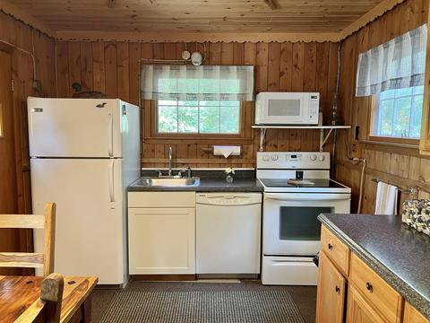 3672 Lance Lake Road Wolverine Mi 49799 Rd, Wolverine, MI 49799 photo 7