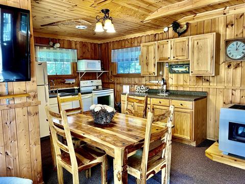 3672 Lance Lake Road Wolverine Mi 49799 Rd, Wolverine, MI 49799 photo 5