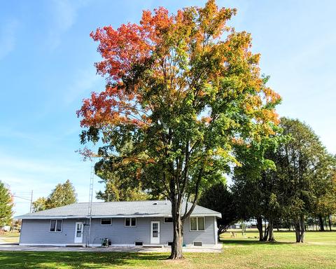 440 Forest View St, Vanderbilt, MI 49795 photo 4