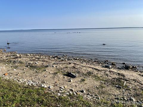 1240 Lofgren Shore Drive Lot 51 Cheboygan Mi 49721 Dr #LOT 51, Cheboygan, MI 49721