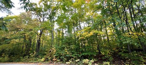 16169 Timberline Dr, Wolverine, MI 49799 photo 4