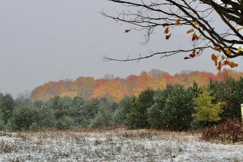 2626 County Road 612 335 Acres Grayling Mi 49738 #33.5 ACRES, Grayling, MI 49738