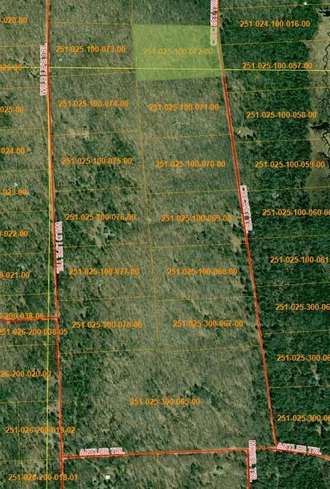 16150 Cricket Trl, Wolverine, MI 49799 photo 3