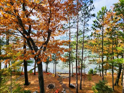 11396 Fantasy Dr, Frederic, MI 49733 photo 38