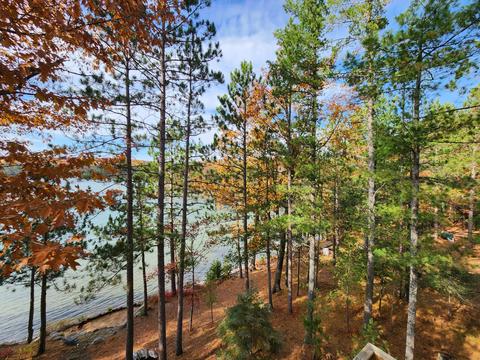 11396 Fantasy Dr, Frederic, MI 49733 photo 39