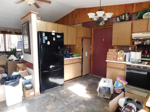 338 Red Tailed Hawk Loop, Grayling, MI 49738 photo 3