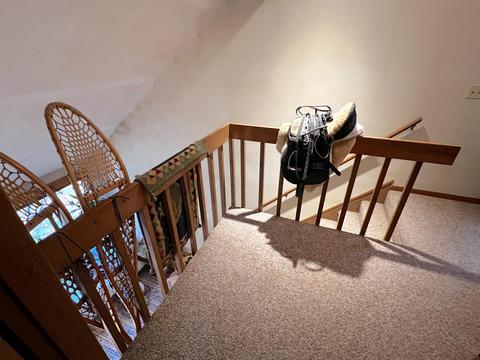 11428 Wilderness Trl, Vanderbilt, MI 49795 photo 19