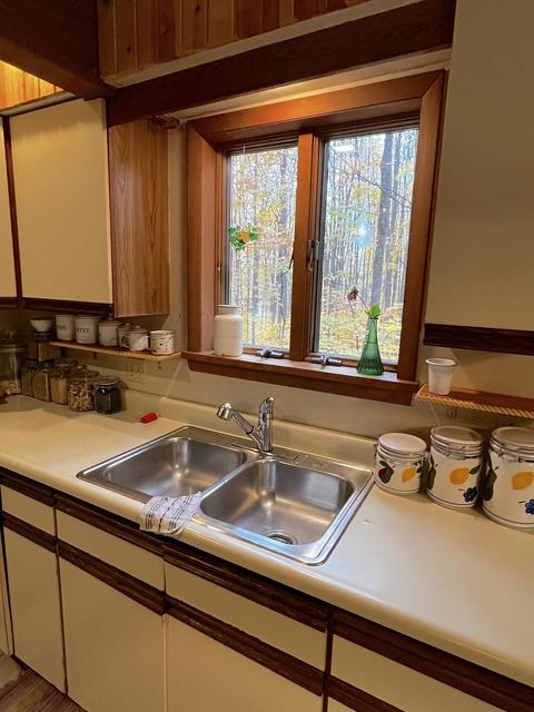 11428 Wilderness Trl, Vanderbilt, MI 49795 photo 23