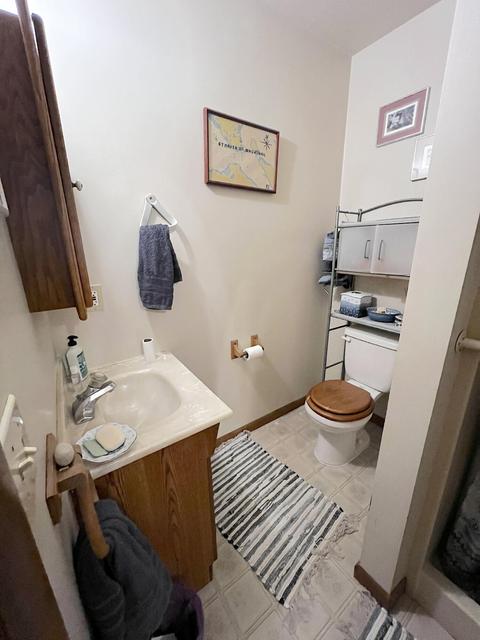 11428 Wilderness Trl, Vanderbilt, MI 49795 photo 37