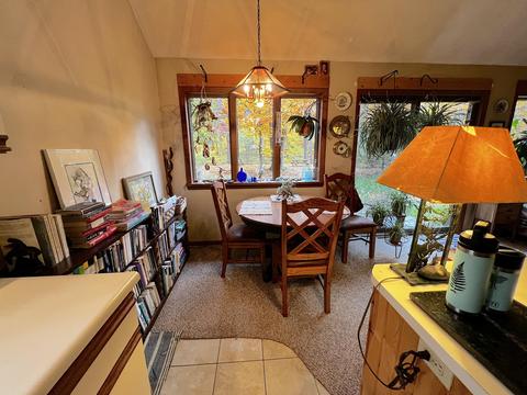 11428 Wilderness Trl, Vanderbilt, MI 49795 photo 39
