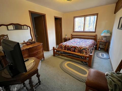 11428 Wilderness Trl, Vanderbilt, MI 49795 photo 16