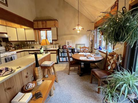 11428 Wilderness Trl, Vanderbilt, MI 49795 photo 10