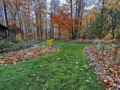 11428 Wilderness Trl, Vanderbilt, MI 49795 photo 33